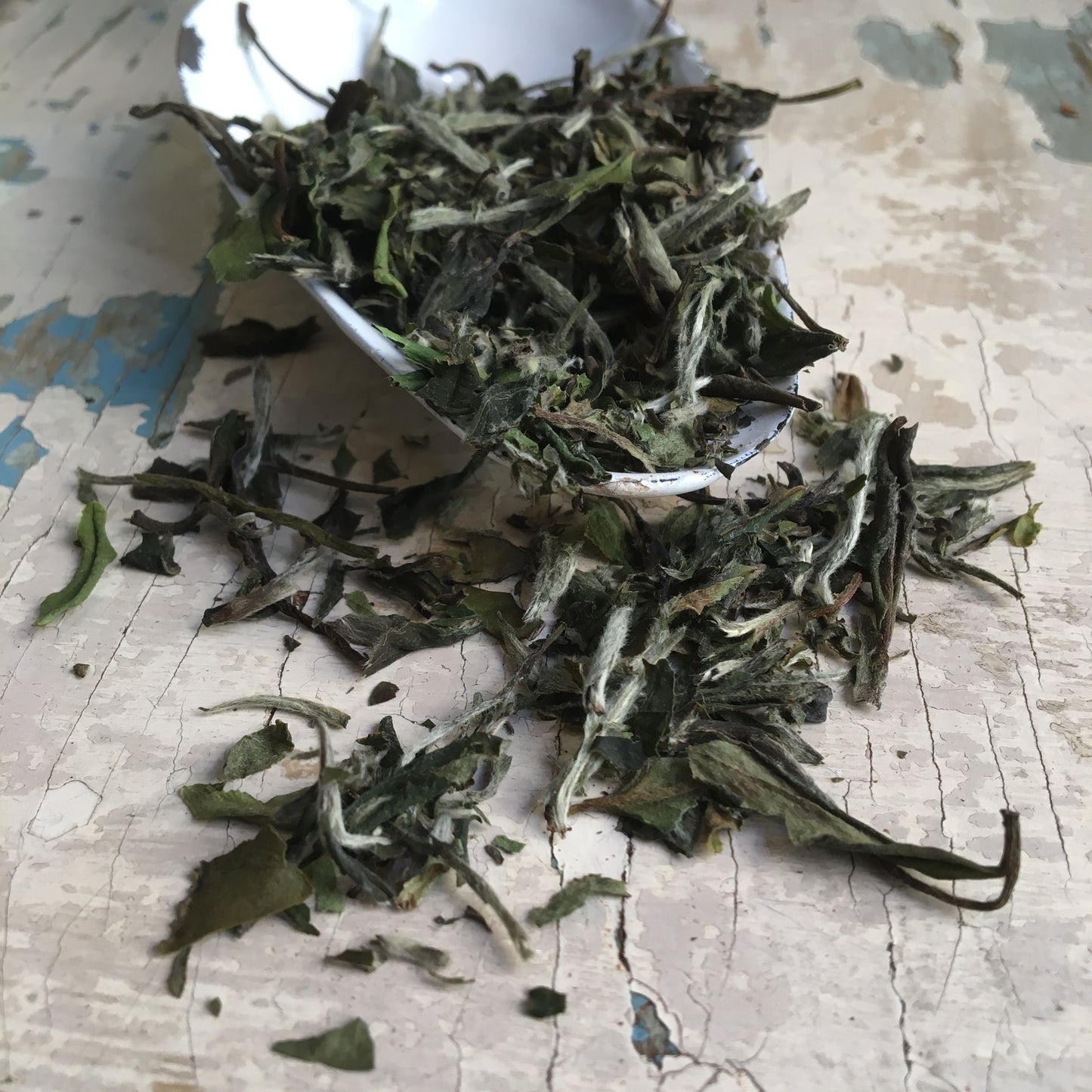 Herbata biała Pai Mu Tan - 50g